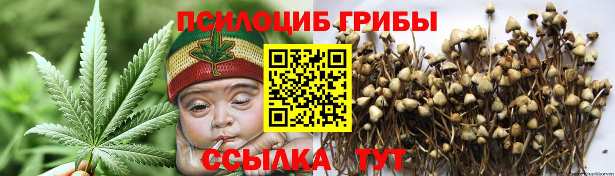Томск  Галлюциногенные грибы мухоморы  хочу наркоту  Вход с VPN 